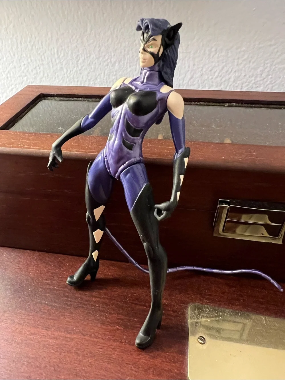 Panther Prowl Catwoman